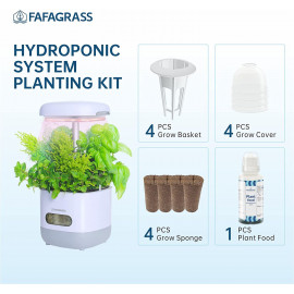 Indoor Garden Hydroponics Growing System, Plant Germination