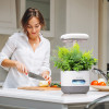 Indoor Garden Hydroponics Growing System, Plant Germination Kit FAFAGRASS Herb Garden Kit Vegetable Growth Lamp Countertop,