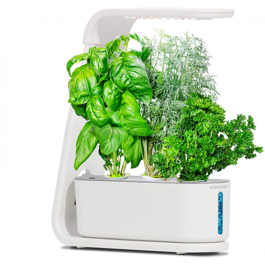 AeroGarden Sprout-White Indoor Hydroponic Herb Garden