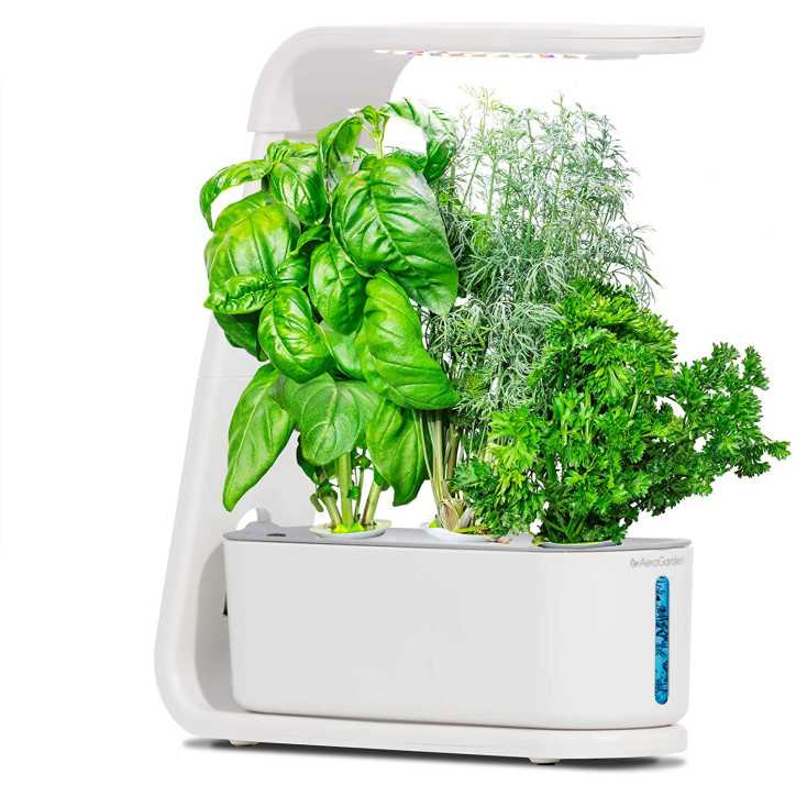 AeroGarden Sprout: Grow Fresh Herbs & Veggies Indoors - Year-Round Gardening Made Easy!