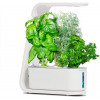 AeroGarden Sprout-White Indoor Hydroponic Herb Garden
