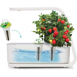 AeroGarden Sprout - Jardin d'Intérieur avec Lumière LED