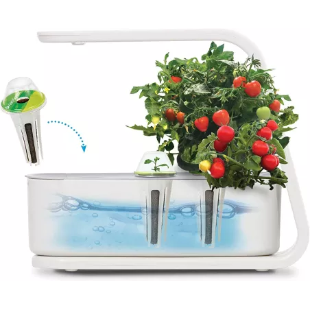AeroGarden Sprout: Votre Jardin dIntérieur LED pour Herbes Fraîches, Toute lAnnée!