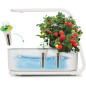 AeroGarden Sprout: Grow Fresh Herbs & Veggies Indoors - Year-Round Gardening Made Easy! AeroGarden Sprout: Grow Fresh Herbs & Veggies Indoors - Year-Round Gardening Made Easy!