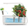 AeroGarden Sprout-White Indoor Hydroponic Herb Garden