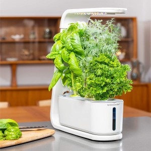 AeroGarden Sprout-White Indoor Hydroponic Herb Garden