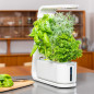 AeroGarden Sprout: Grow Fresh Herbs & Veggies Indoors - Year-Round Gardening Made Easy! AeroGarden Sprout: Grow Fresh Herbs & Veggies Indoors - Year-Round Gardening Made Easy!