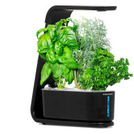 AeroGarden Black Sprout : Jardin d’Intérieur LED Facile