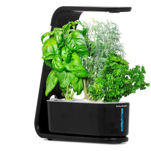 AeroGarden Black Sprout (2020 Model)