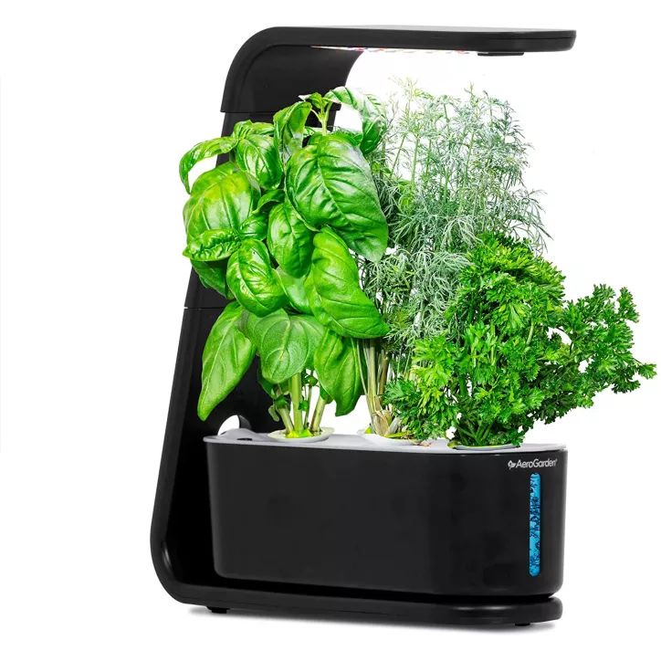AeroGarden Sprout Noir: Votre Mini Jardin dIntérieur LED pour Herbes Fraîches