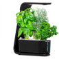 AeroGarden Sprout: Grow Fresh Herbs & Veggies Indoors - No Soil Needed!
