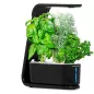 AeroGarden Sprout Noir: Votre Mini Jardin dIntérieur LED pour Herbes Fraîches