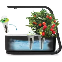 AeroGarden Black Sprout (2020 Model)