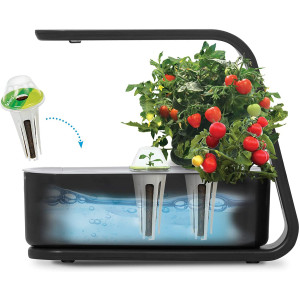 AeroGarden Black Sprout (2020 Model)