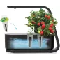 AeroGarden Sprout Noir: Votre Mini Jardin dIntérieur LED pour Herbes Fraîches