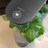 AeroGarden Black Sprout (2020 Model)