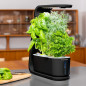 AeroGarden Sprout: Grow Fresh Herbs & Veggies Indoors - No Soil Needed!