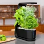 AeroGarden Sprout Noir: Votre Mini Jardin dIntérieur LED pour Herbes Fraîches