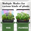2022 Hydroponics Growing System, QYO 12 Pods Indoor Herb Garden with Grow Light, Air System, Drainage System, Automatic Timer,