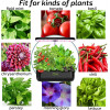 2022 Hydroponics Growing System, QYO 12 Pods Indoor Herb Garden with Grow Light, Air System, Drainage System, Automatic Timer,