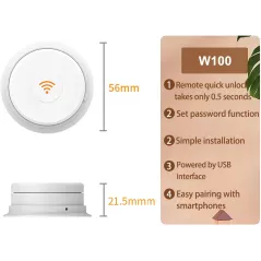 WeHere Key Lock Box use Bluetooth/One-Time Password/Fixed Code Unlock, Electronic Lock Box for House Key, Wall Mount Hide a Key