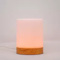 Single Friendship Lamp by LuvLink™ (one lamp only)
