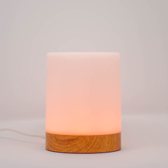 Single Friendship Lamp by LuvLink™ (one lamp only)
