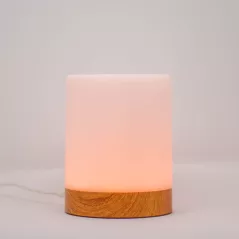 Single Friendship Lamp by LuvLink™ (one lamp only)