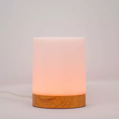 Single Friendship Lamp by LuvLink™ (one lamp only)