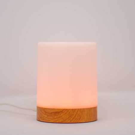 Single Friendship Lamp by LuvLink™ (one lamp only)