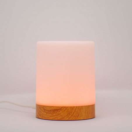 Single Friendship Lamp by LuvLink™ (one lamp only)