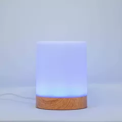 LuvLink : Lampe dAmitié Connectée - Illuminez lAmour, Peu Importe la Distance!