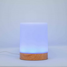 Lampe d'Amitié LuvLink - Restez Connecté à Distance