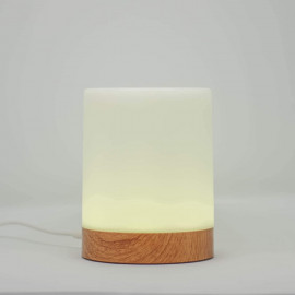 Single Friendship Lamp by LuvLink™ (one lamp only) for Style Modern