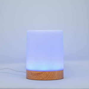 Single Friendship Lamp by LuvLink™ (one lamp only)