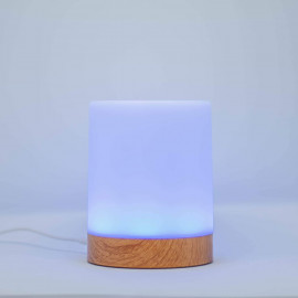 Friendship Lamp by LuvLink™ (set of 2) : communicate through light