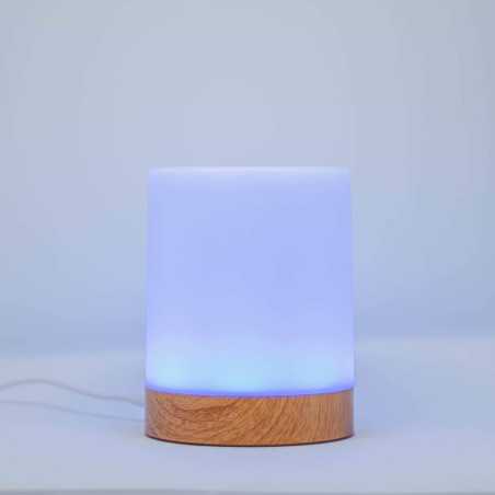 LuvLink Friendship Lamps: Stay Connected with Color! Long Distance Touch Lamps for Loved Ones Worldwide