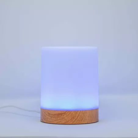LuvLink : Lampes dAmitié à Distance - Illuminez vos Liens, Peu Importe la Distance!