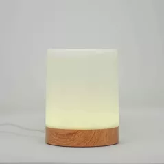 Single Friendship Lamp by LuvLink™ (one lamp only)