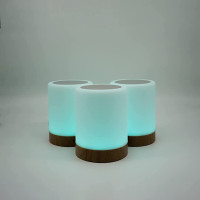 copy of Friendship Lamp by LuvLink™ (two lamp only)