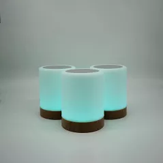 copy of Friendship Lamp by LuvLink™ (two lamp only)
