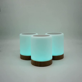 copy of Friendship Lamp by LuvLink™ (two lamp only)