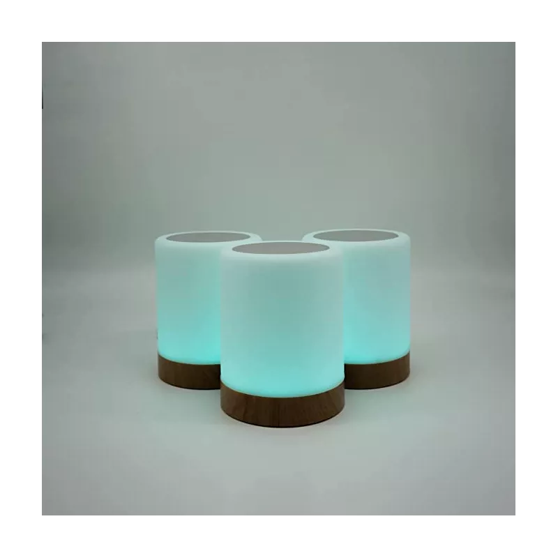 copy of Friendship Lamp by LuvLink™ (two lamp only)