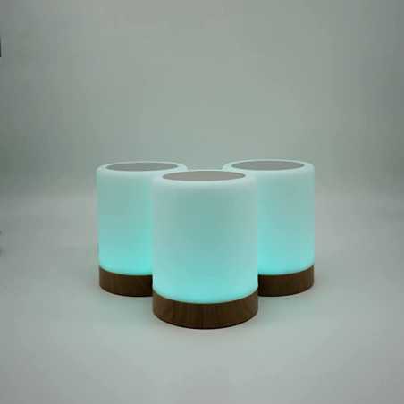 copy of Friendship Lamp by LuvLink™ (two lamp only)