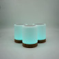 LuvLink Friendship Lamps: Stay Connected with Loved Ones, No Matter the Distance!