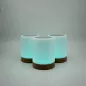 LuvLink Friendship Lamps: Stay Connected with Loved Ones, No Matter the Distance!