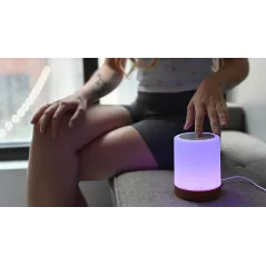 Single Friendship Lamp by LuvLink™ (one lamp only)