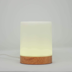 Single Friendship Lamp by LuvLink™ (one lamp only)