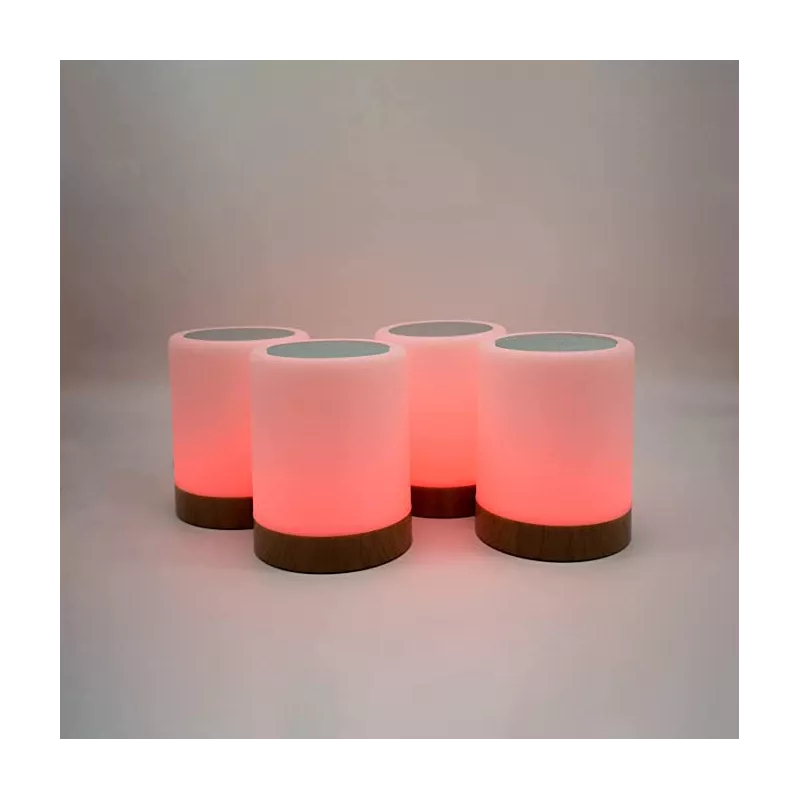 Friendship Lamp by LuvLink™ (Four lamp)