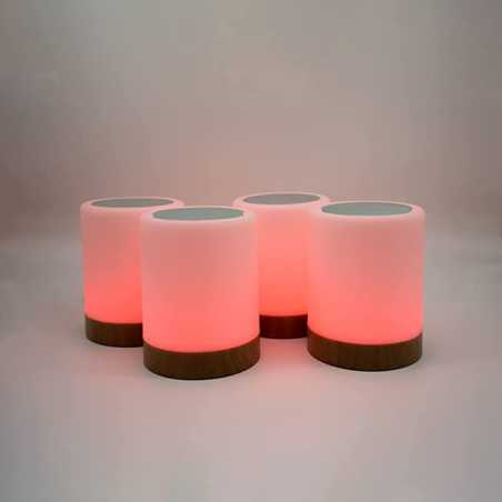 Friendship Lamp by LuvLink™ (Four lamp)